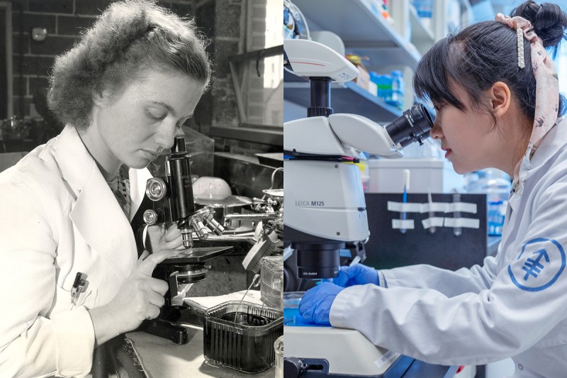 MSK’s Sloan Kettering Institute Celebrates 75 Years of Discovery
