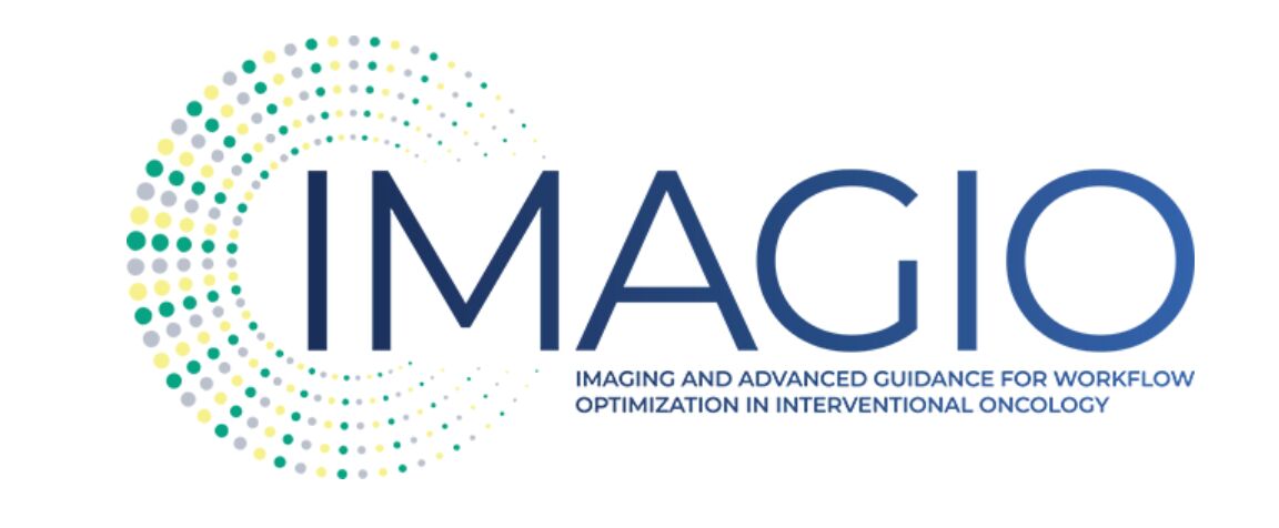 The primary focus is on developing minimally invasive treatments for lung cancer, liver cancer, and soft tissue sarcomas - IMAGIO Project