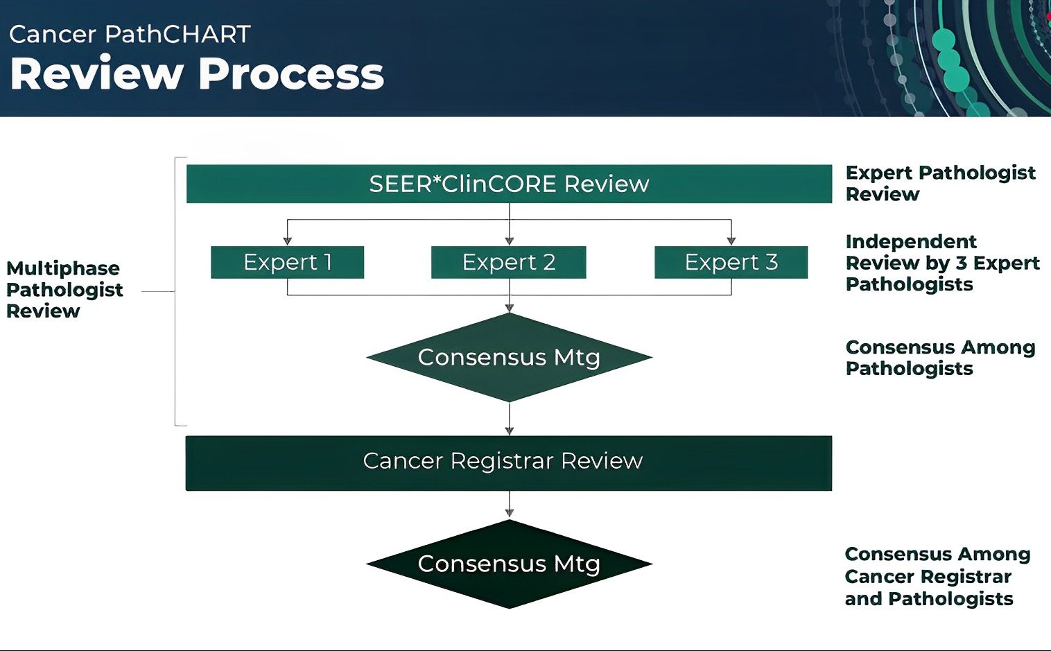 The National Cancer Institute launches the Cancer PathCHART website. - National Cancer Institute Cancer Stats