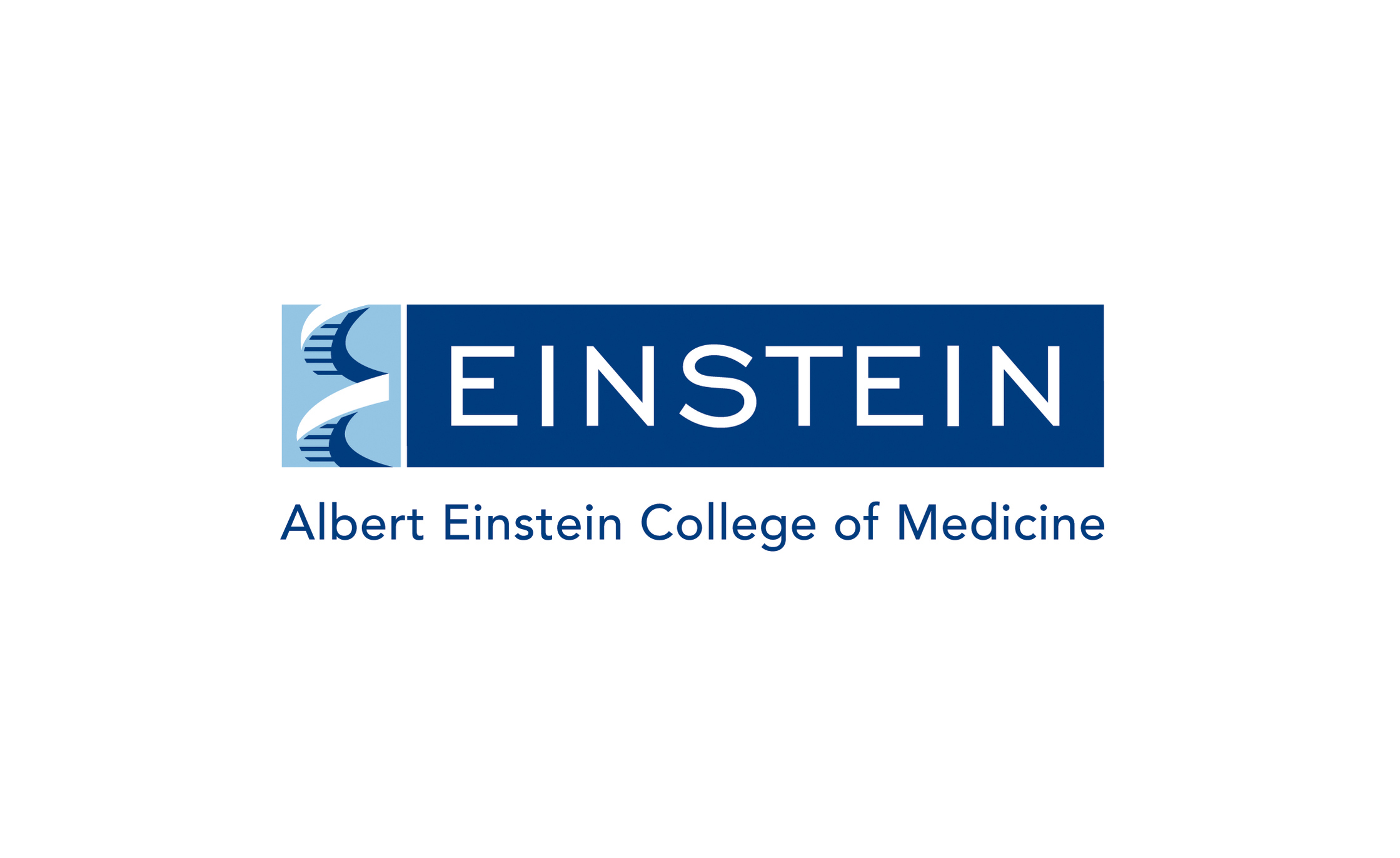 The newly renamed Montefiore Einstein Comprehensive Cancer Center (MECCC) has been awarded comprehensive designation by the NCI of the National Institutes of Health. - The Albert Einstein College of Medicine