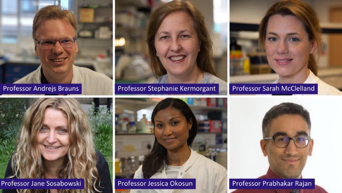 Join us in congratulating our 16 BCI researchers who have been promoted! - Barts Cancer Institute