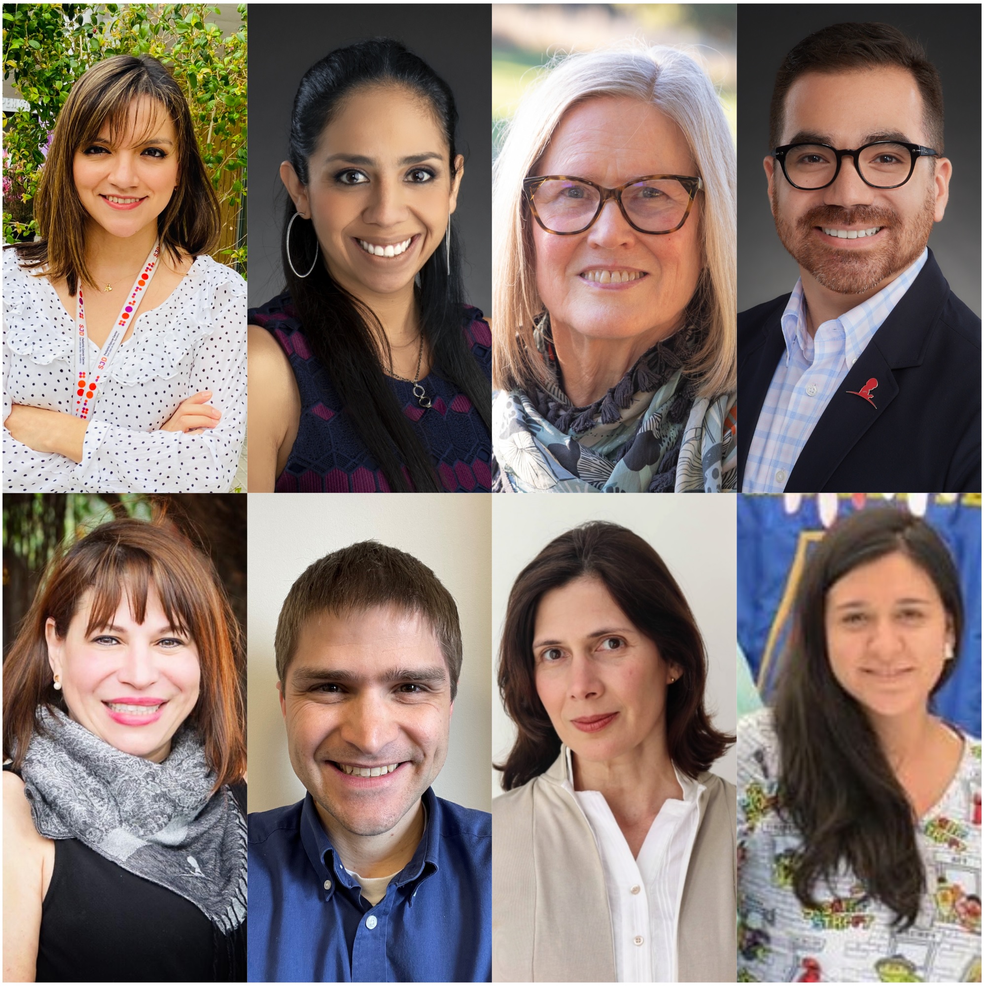 Gaining insight into the needs and health status of childhood cancer survivors in Latin America. An International Alliance.