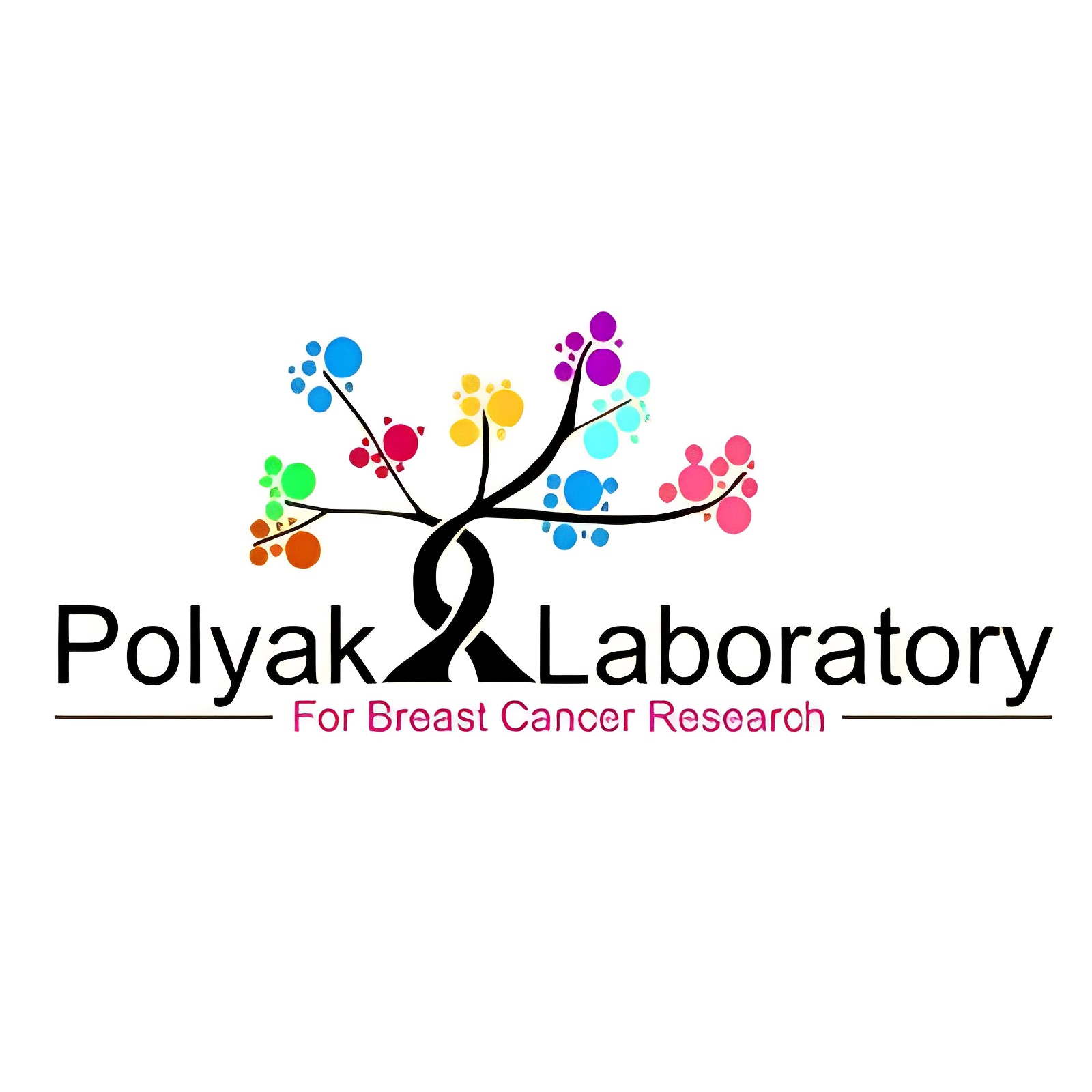 Our preclinical study evaluating the efficacy of BRD4 inhibitor+Paclitaxel+anti-PD-L1 combination for Triple negative breast cancer is out in Molecular Cancer Therapeutics today. - Polyak Lab
