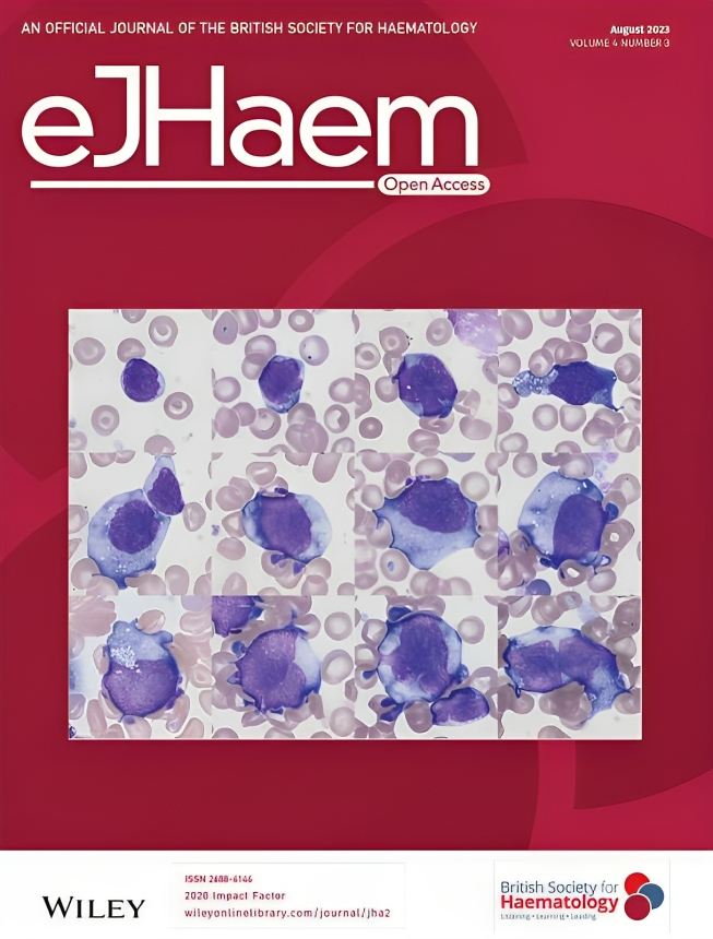 Andrew M. Evens: The eJHaem journal is pleased to publish a special issue on: "Lymphoma in adolescents and young adults: Navigating a path forward together."