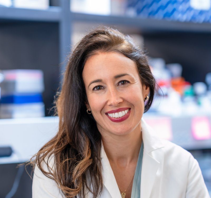 New study by Cigall Kadoch, PhD at Dana Farber reveals the sequence-specific contributions of intrinsically disordered proteins known as IDRs, which are implicated in cancer. - Dana-Farber News