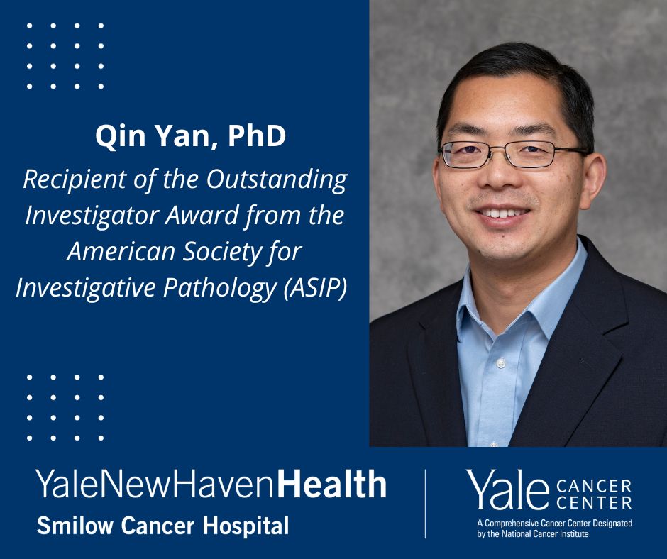 Qin Yan received the Outstanding Investigator Award from the American Society for Investigative Pathology - Yale Cancer Center