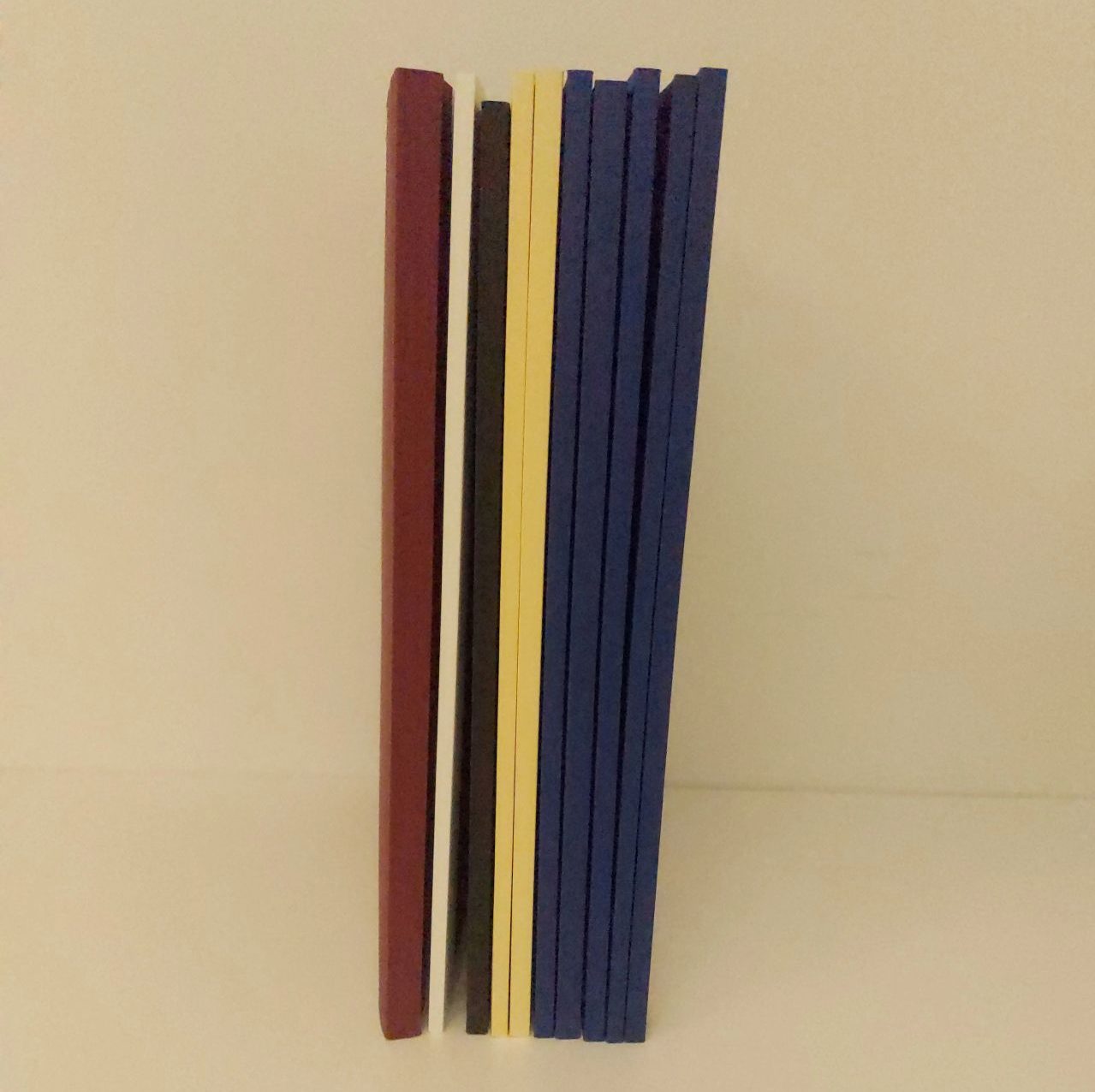 All the bound theses of the students of this class except for the one that was sent to Brazil - Advanced Oncology
