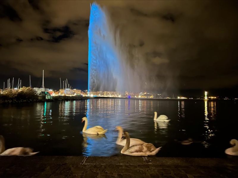 Bente Mikkelsen: Geneva lights up in teal to mark 3 years since WHO launched a historic effort to eliminate Cervical Cancer