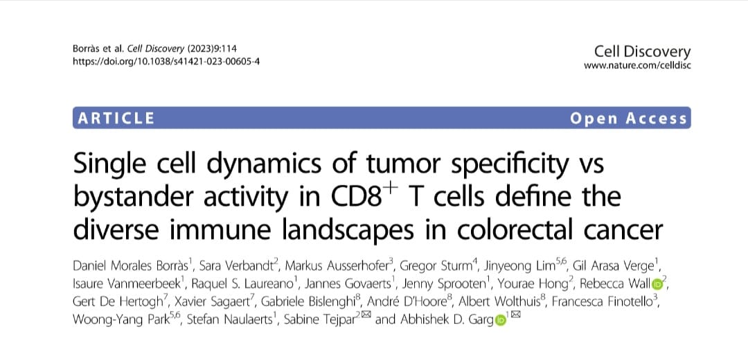 Our latest work on deep single cell mapping of CD8+T cell in colorectal cancer patients leading to first Artificial Intelligence classification for Immunotherapy - Cell Stress and Immunity Lab