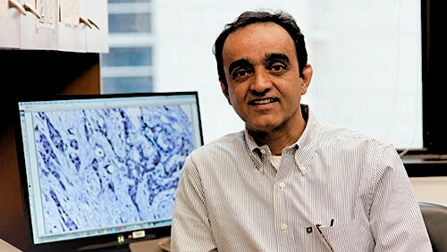 Anirban Maitra