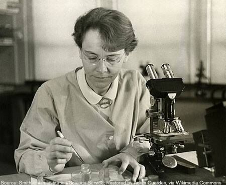 Barbara McClintock discovered 'jumping genes' and proved that chunks of genetic code - The Nobel Prize