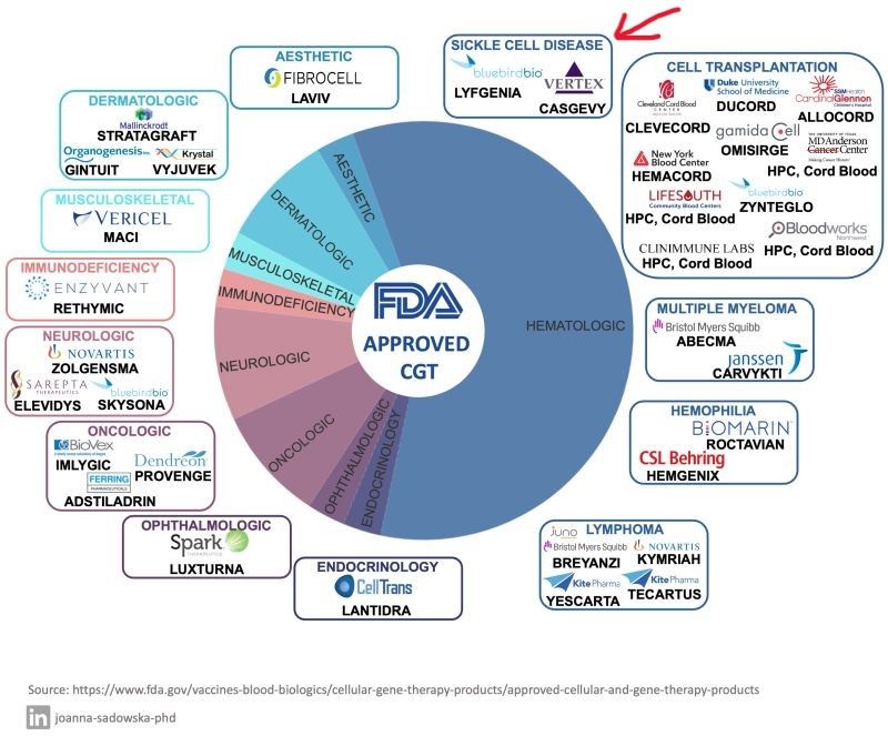 Spencer Knight: Here’s the current 34 approval breakdown by therapeutic area