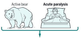 Akshay Sharma: Who was poking the sleeping bears?