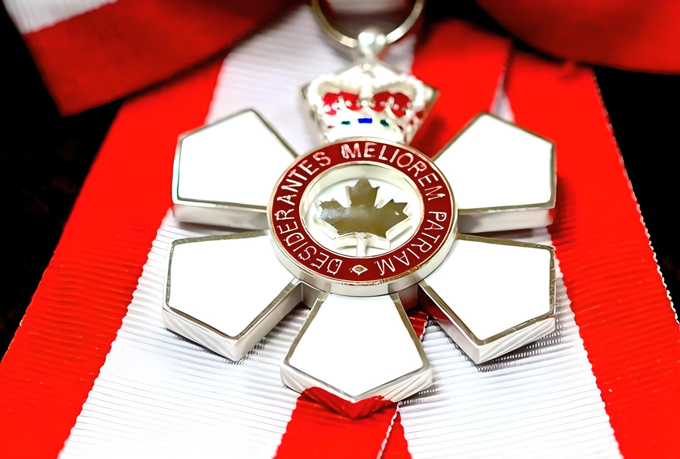 Andre Picard: I'm honoured and humbled to be included in the list of new appointees to the Order Of Canada
