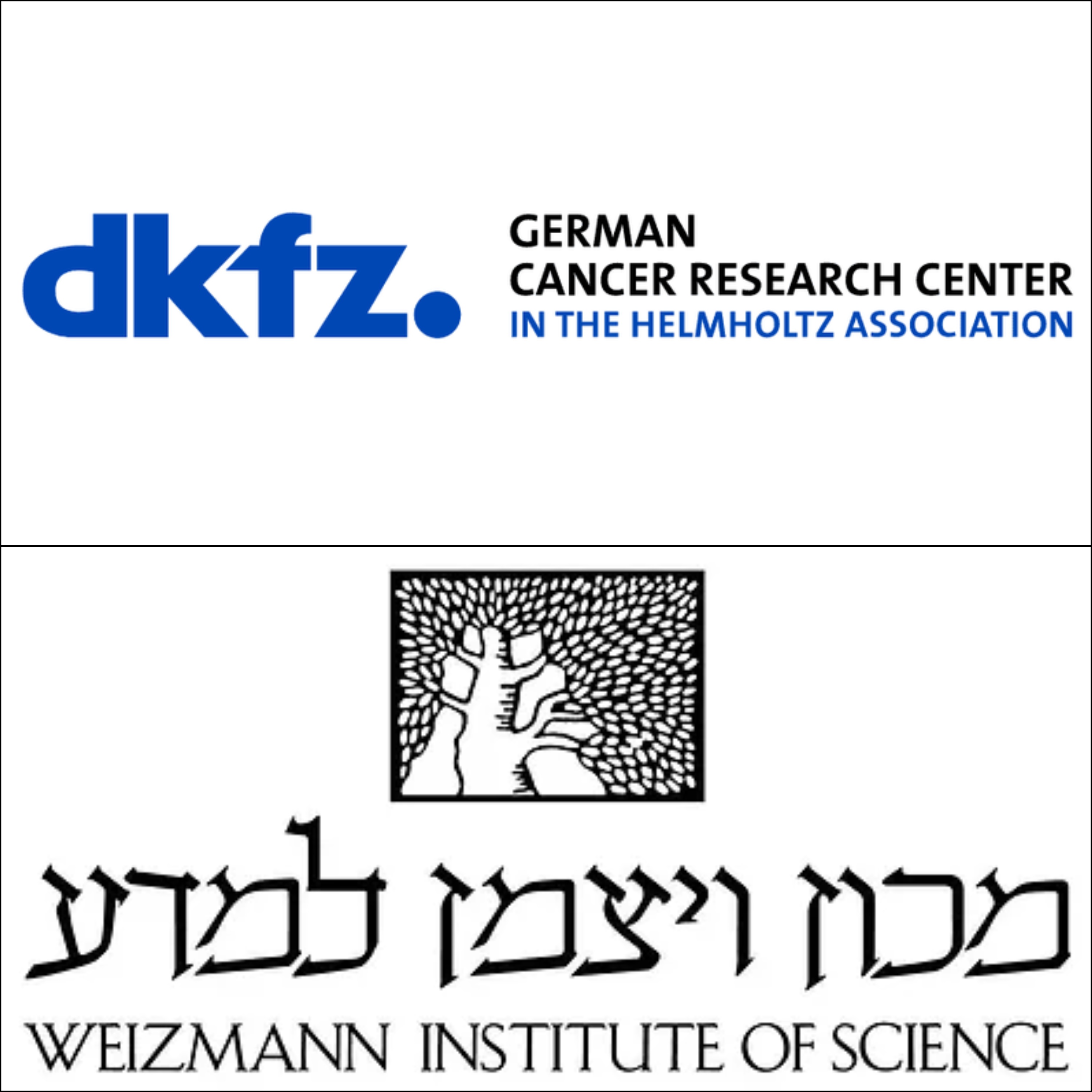 p53-mutated mouse breast cancer cells reprogram fat cells - DKFZ German Cancer Research Center
