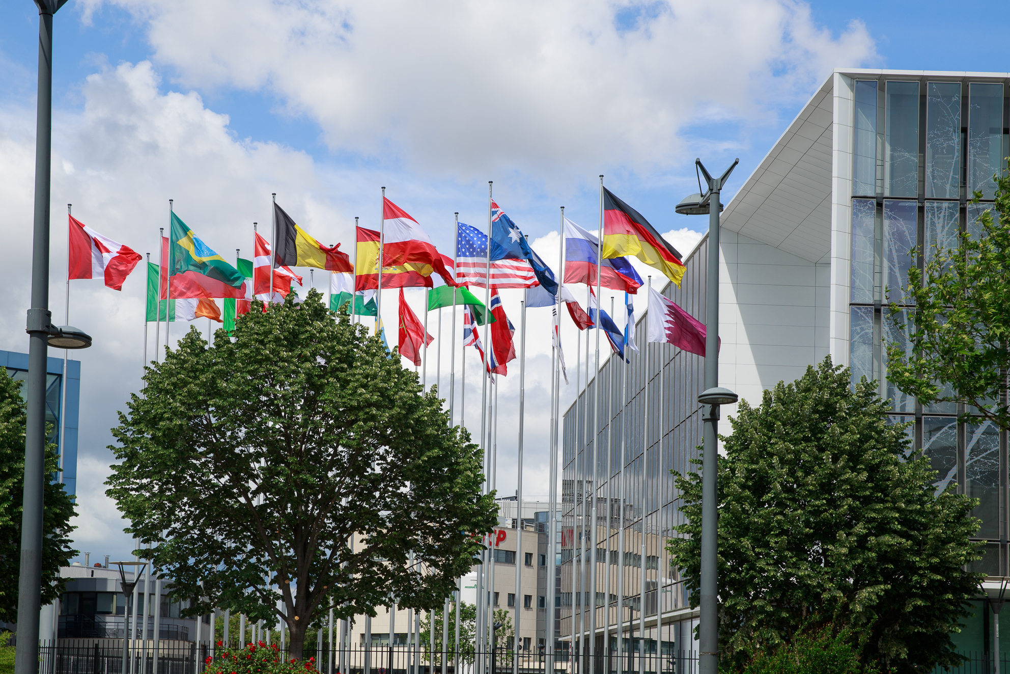 The 60th Session of the IARC Scientific Council takes place in Lyon on 7–9 Feb - International Agency for Research on Cancer (IARC)