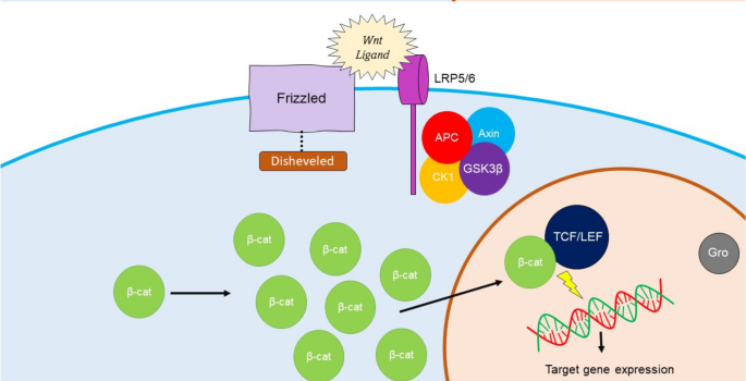 Iván R. González: Excellent article on the current situation and therapeutic options in desmoid tumors