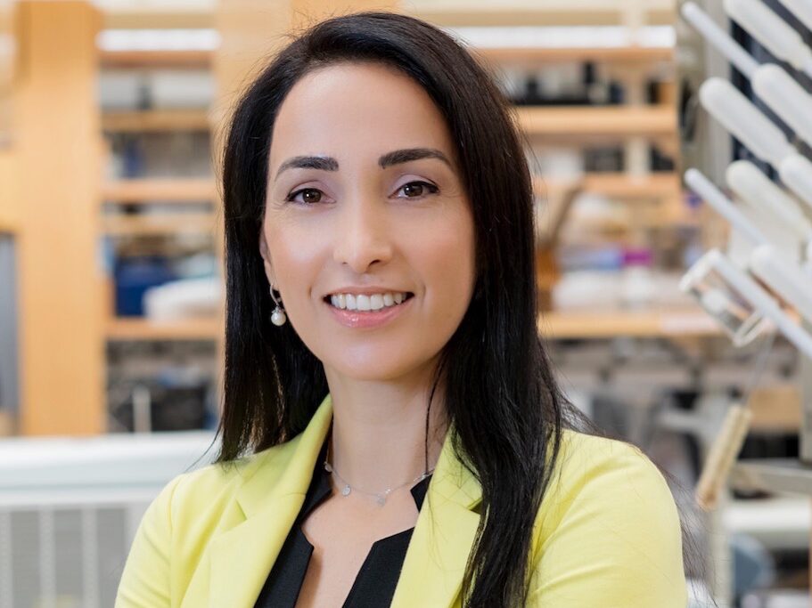 Research project involving melanoma treatment monitoring is now up for voting in STAT Madness - Brigham and Women's Hospital