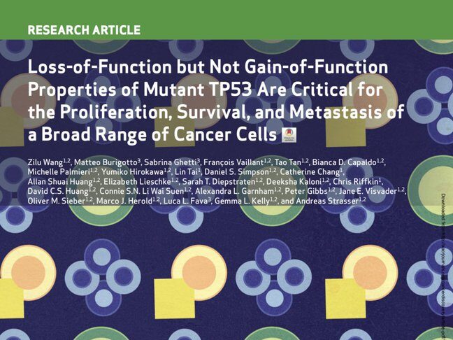The Innovation Oncology - Loss-of-Function properties of mutant TP53 are critical for a broad range of cancer cells