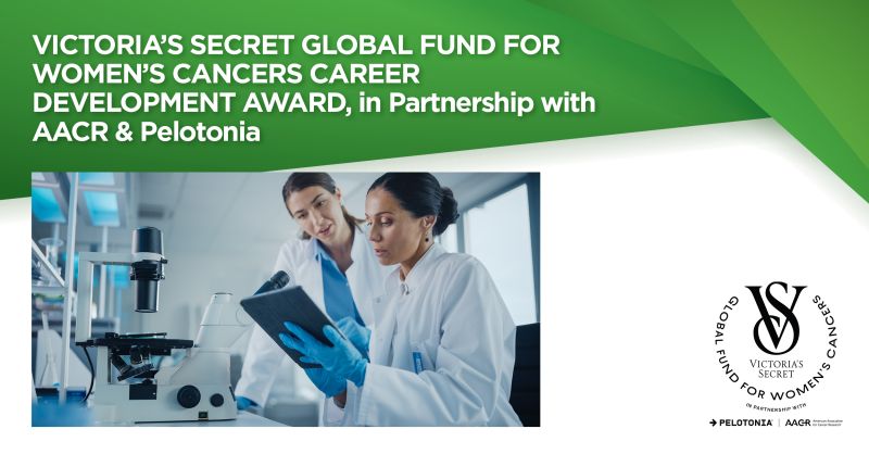 Female early-stage investigators are invited to apply for the Victoria’s Secret Global Fund for Women’s Cancers Career Development Awards - The American Association for Cancer Research