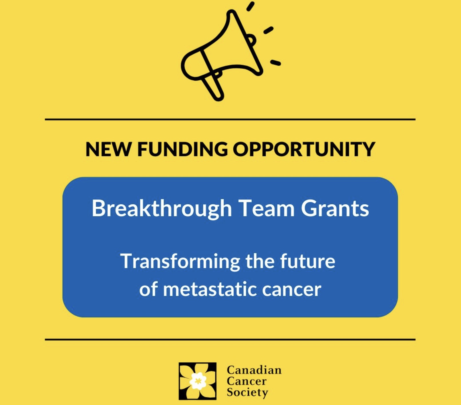 The Canadian Cancer Society