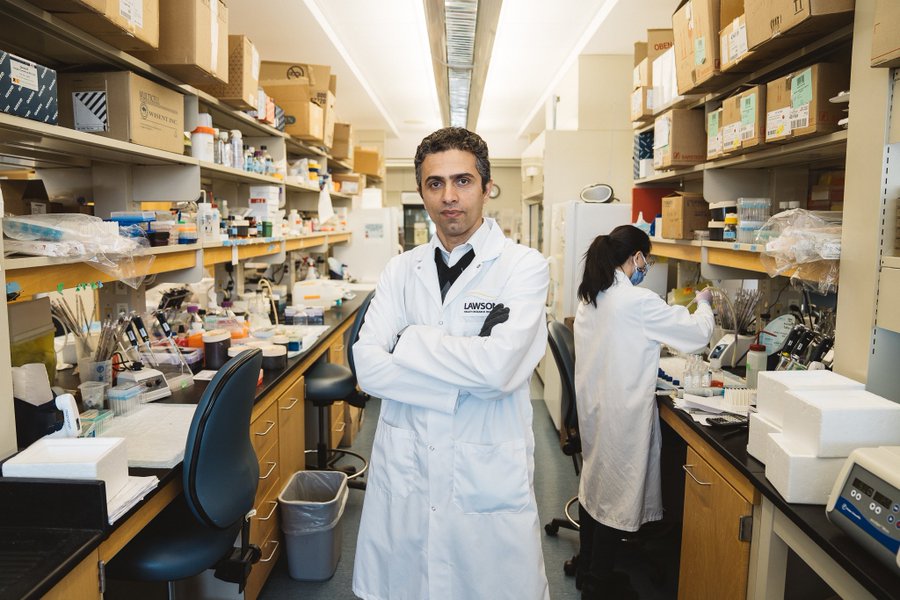 Saman Maleki - The 'Researcher of the Year' at Schulich Western University