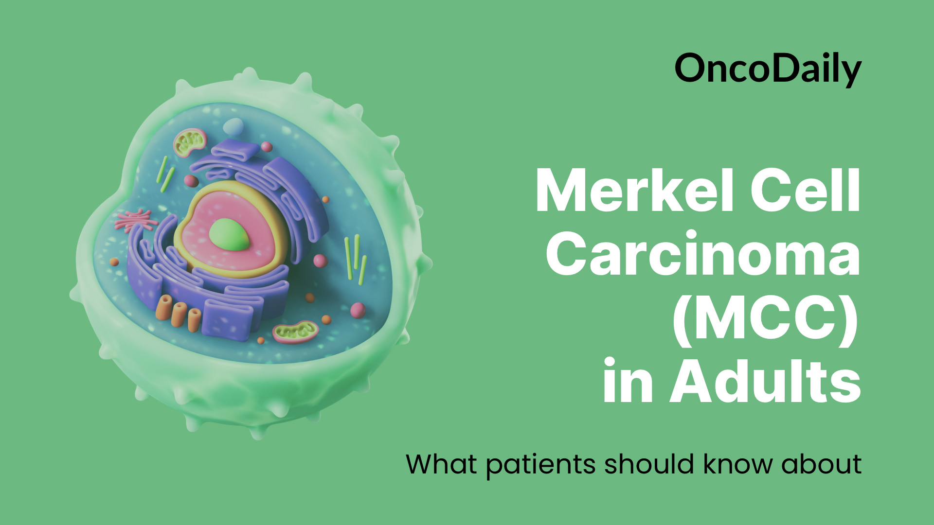 Merkel Cell Carcinoma (MCC) in Adults: What patients should know about