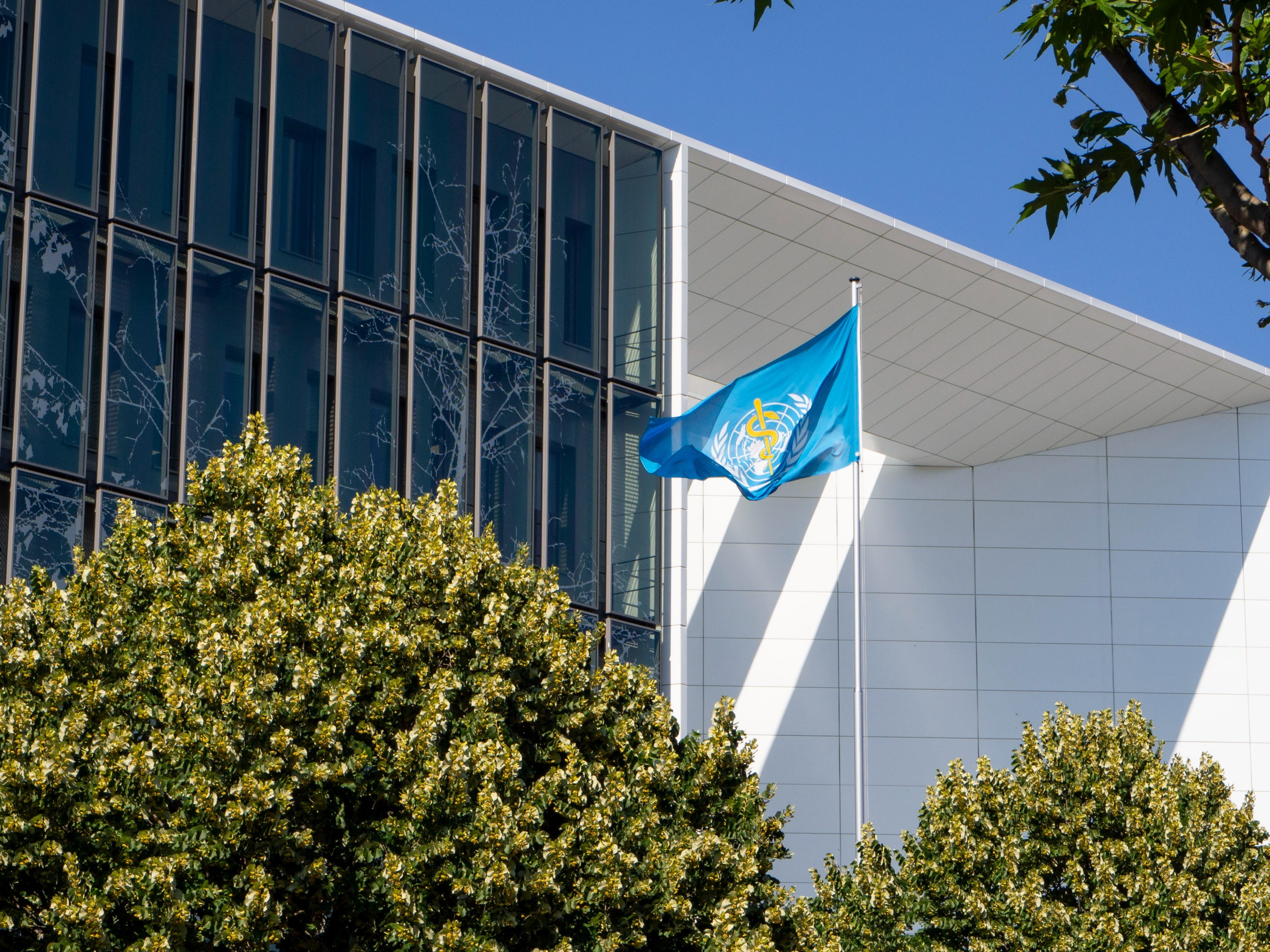 IARC Governing Council