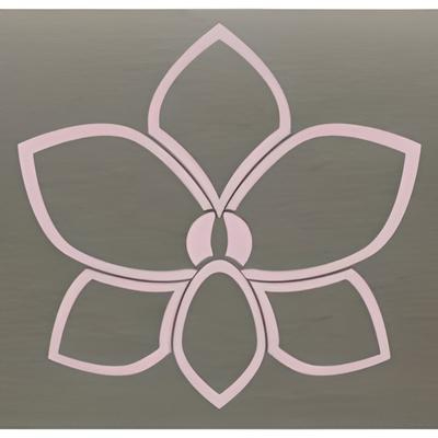 Orchid Healthcare Solutions