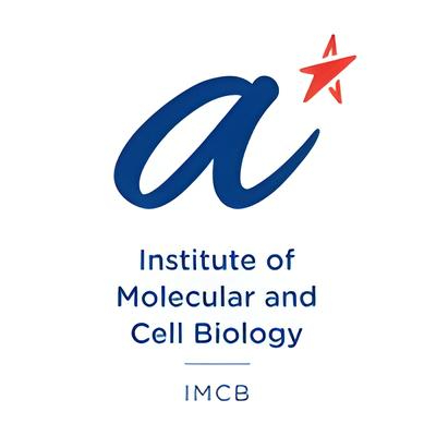 Institute of Molecular and Cell Biology 