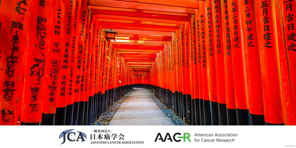 access to the Eighth JCA-AACR