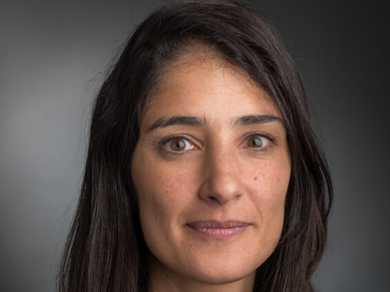 Ines Vaz Luis