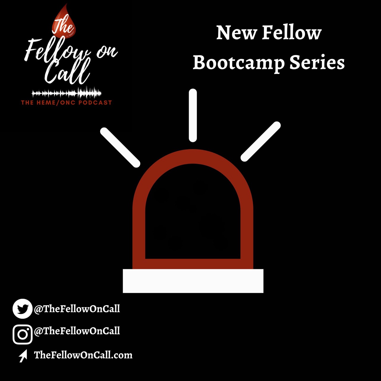 The Fellow On Call