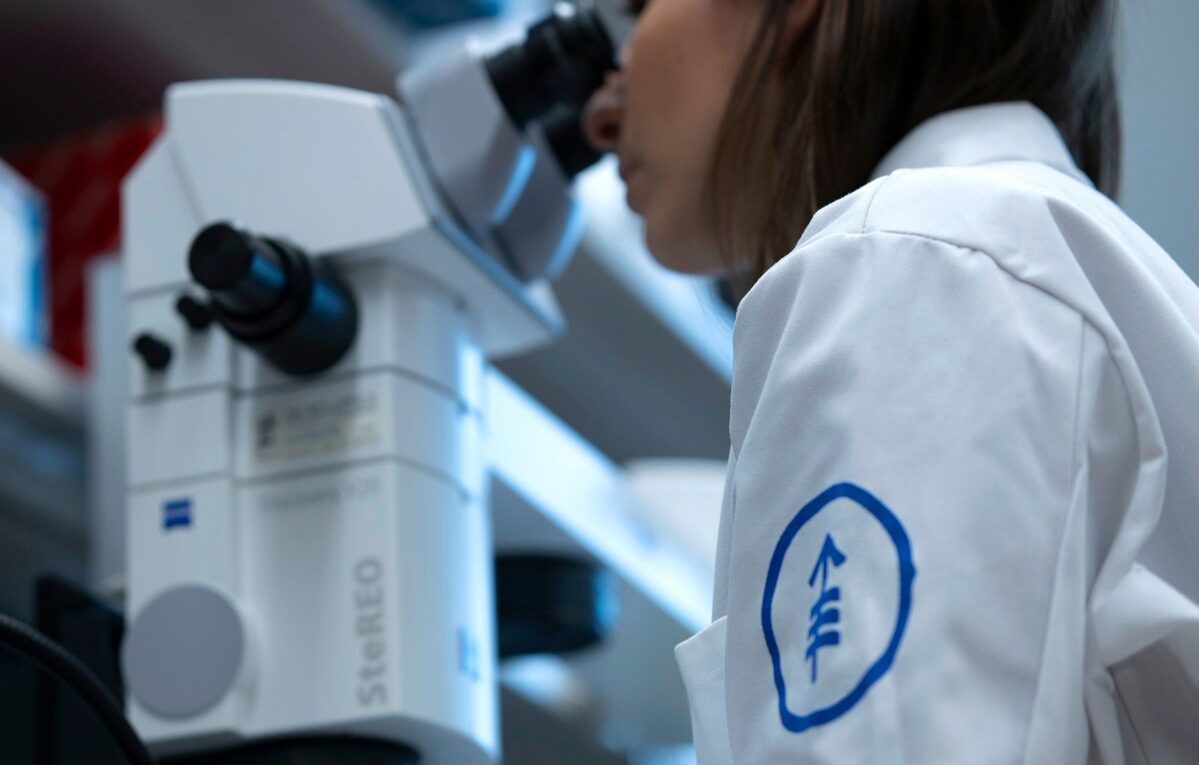 Researchers