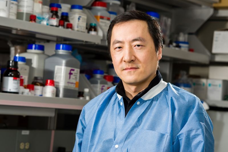Chengkai Dai was appointed as senior investigator for the NCI Mouse Cancer Genetics Program - NCI Center for Cancer Research