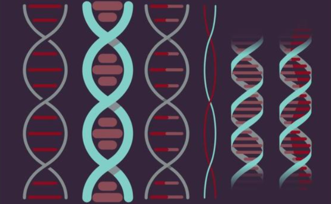 lifetime cancer risks