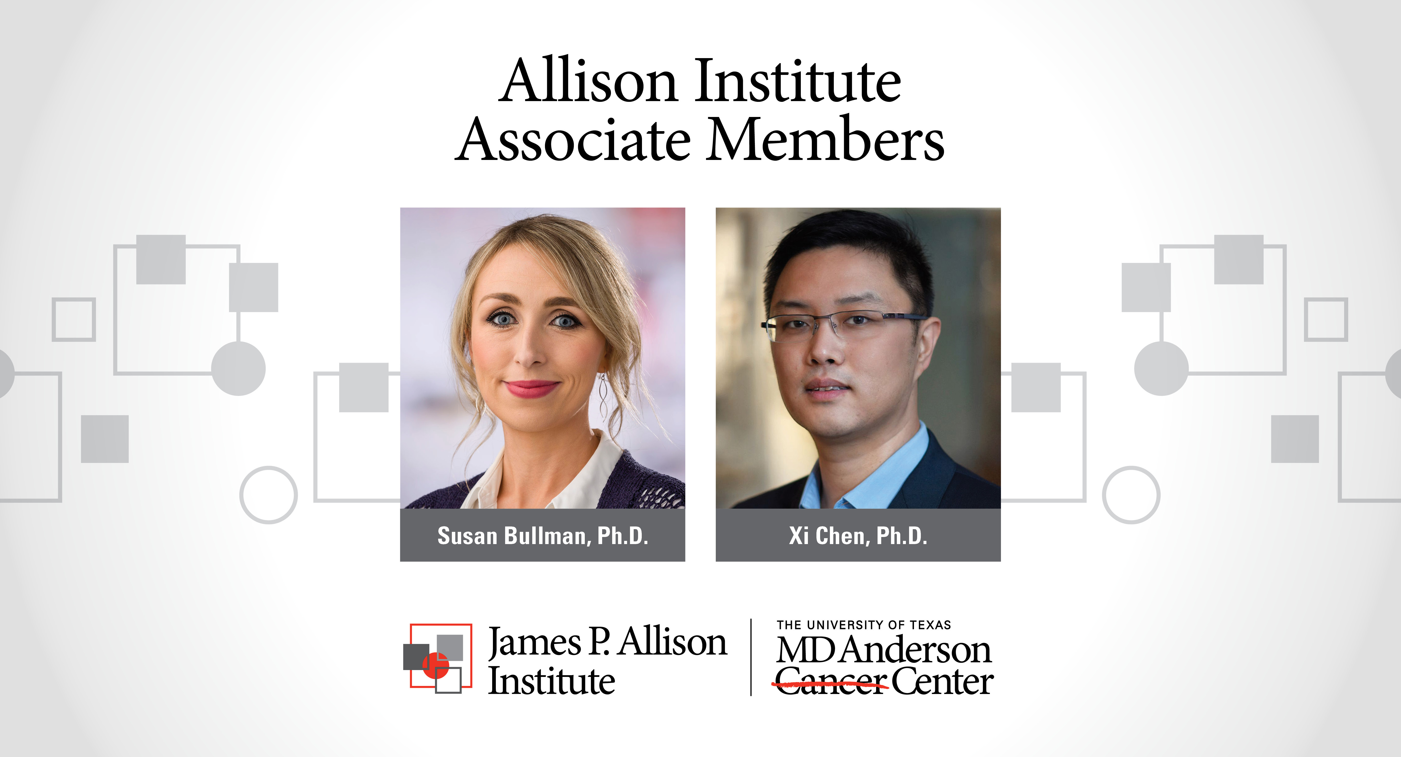 Allison Institute