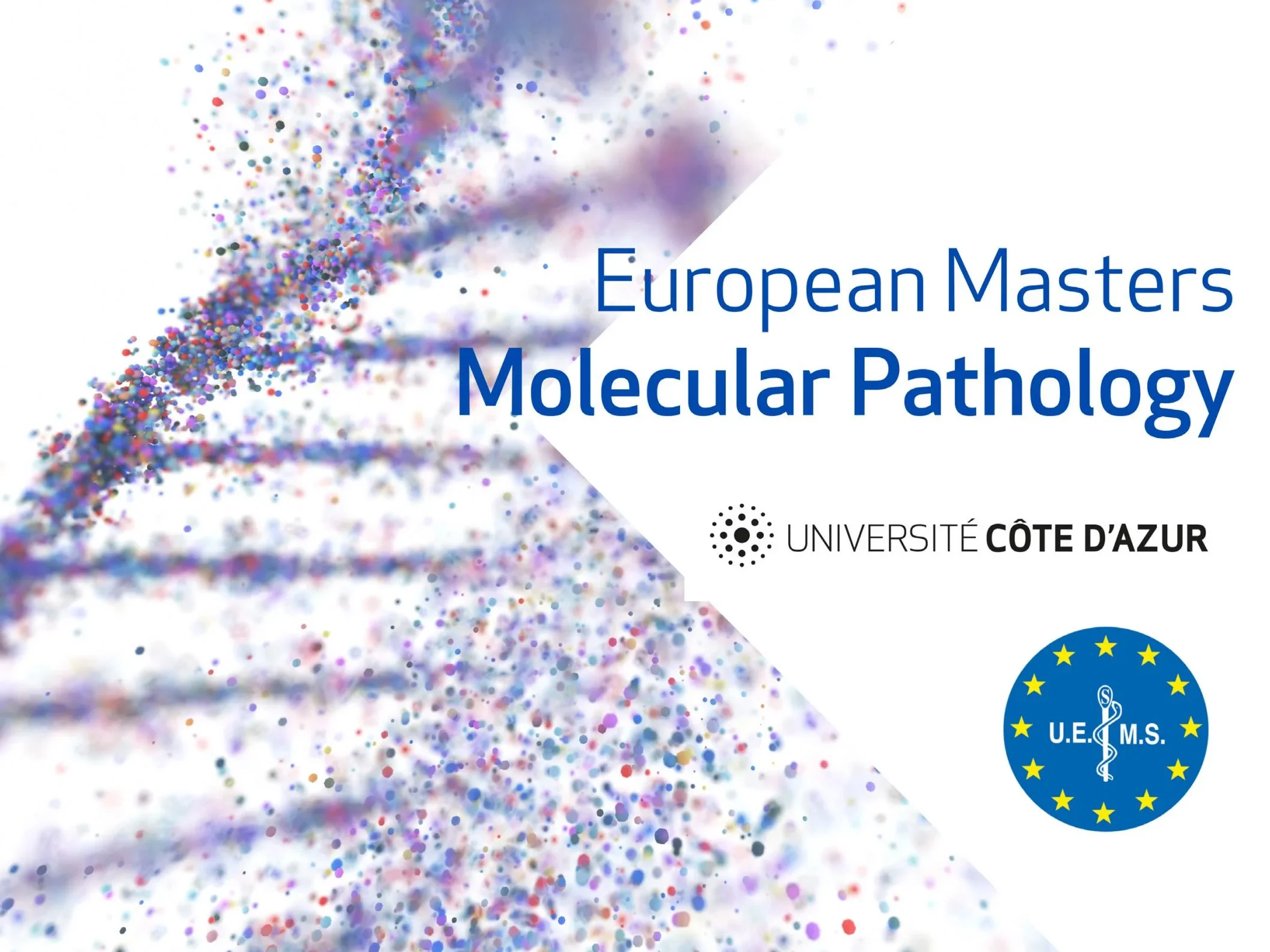 Module 6 of the European