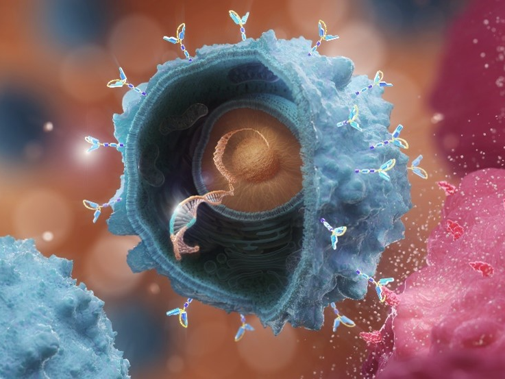 Immunotherapies