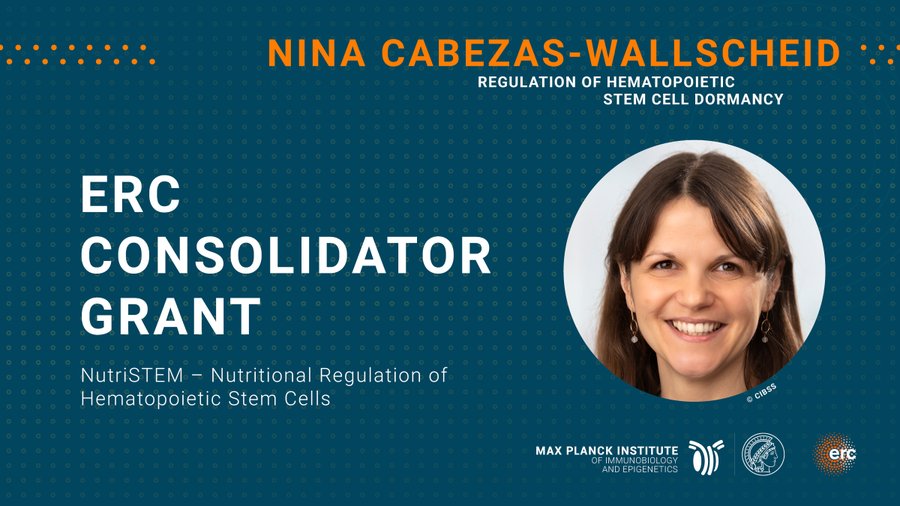 Nina Cabezas-Wallscheid
