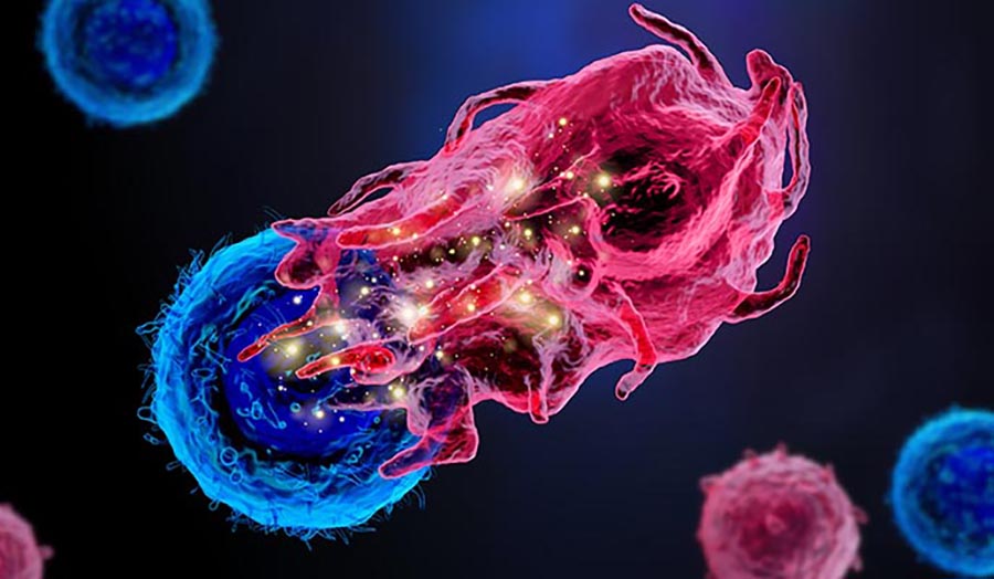 Macrophage