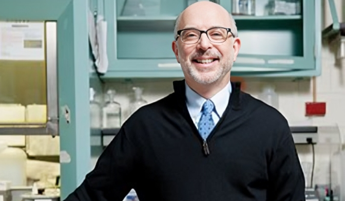 Stuart Schnitt