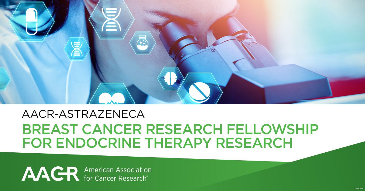 Breast Cancer Fellowship