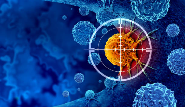 Dendritic cell based-immunotherapy