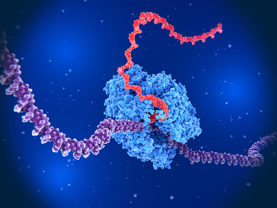 four-patient trial