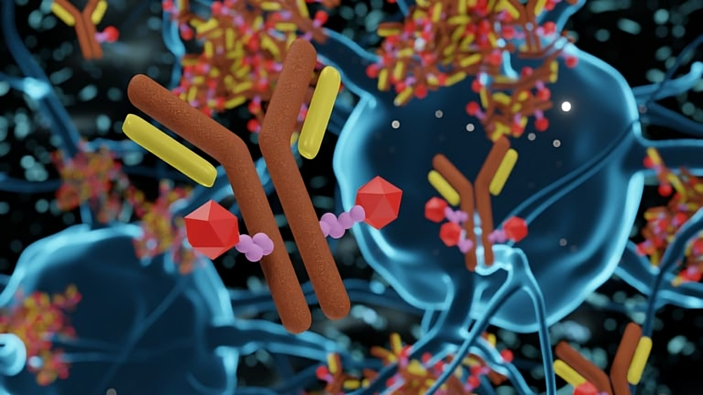 How tumor biology impacts Patritumab deruxtecan's efficacy in early breast cancer