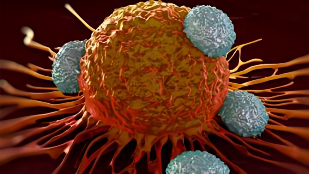 Journal for ImmunoTherapy of Cancer