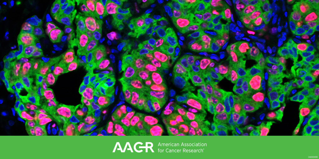 AACR