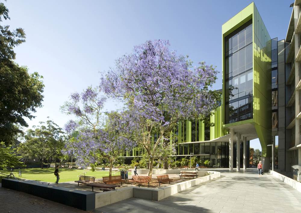 Children's Cancer Institute