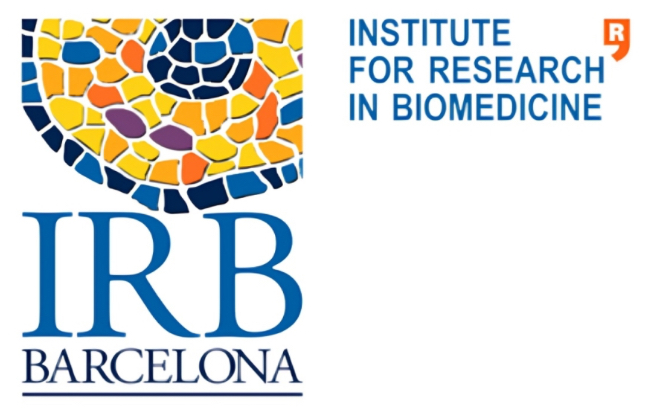 International PhD fellowships